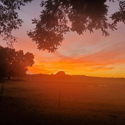 Jscuared's profile picture. Tesla referral link:  https://t.co/rQbPC1bNcP