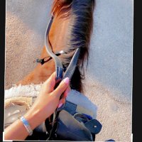 خـيّالـه 🐎 (@2009_toofee) 's Twitter Profile