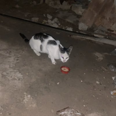 LordJes69783828's profile picture. Lord Jesus Christ bless we poor people living in bad situations ✝️✝️🙏🙏🙏