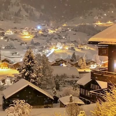 MamedMa64805777's profile picture. Türk