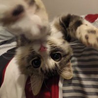 13og (@_13og_) 's Twitter Profile