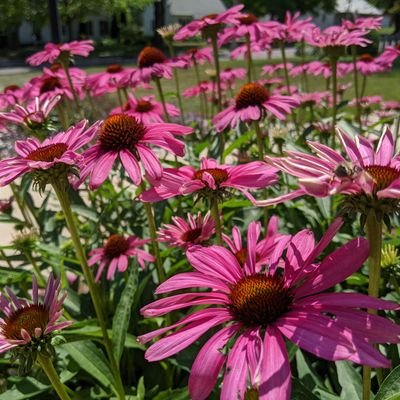 sallyride852's profile picture. 