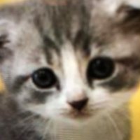 まいくん (@fisqwlyb35xxkle) 's Twitter Profile