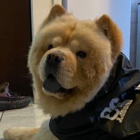 William Medeiros (@hfn_k3) 's Twitter Profile