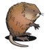 Muskrat (@muskratail) Twitter profile photo Muskrat (@muskratail) Twitter profile photo