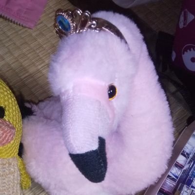 marchiko95's profile picture. お出かけ✨乗り物✨コーヒー☕古墳と埴輪🎵掃除洗剤&グッズ✨益子焼🐸生き物💓ぬいぐるみ💫ゲームetc..
相棒は可愛い妖かi…娘ッコ(⁠•⁠ө⁠•⁠)💕
頑張るでよヾ(・Θ・)ﾉﾞ♪
興味いろいろ。直感でイイネ&フォロー👍❤️させていただきます。悪しからず。