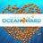 OceanWard1's profile image
