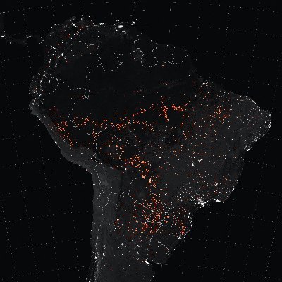 GarciaUrza's profile picture. ES HORA DE DETENER EL ECOCIDIO MAS GRANDE DE LA HISTORIA EN CONTRA DE LA SELVA AMAZONICA