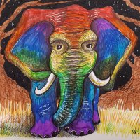 Michelle Ranson (@ransonmichelle) 's Twitter Profile