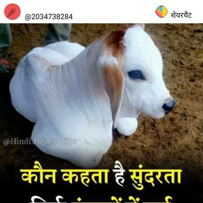 DeepakV09313395 Profile Picture