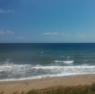 Necati99596736's profile picture. Godless