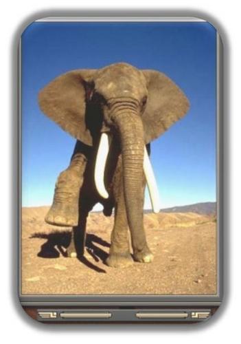 ImpresionDigit's profile picture. 