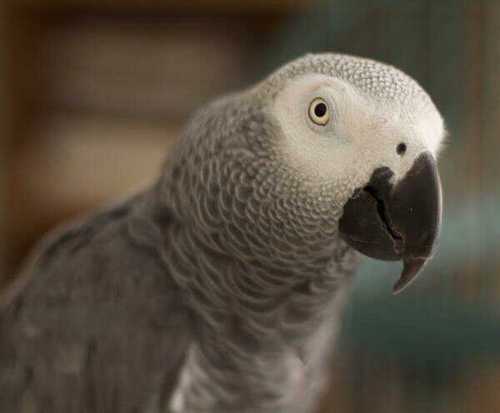 exmoto_19's profile picture. i am exmoto