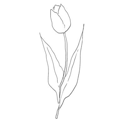 taka___nd's profile picture. 成人済