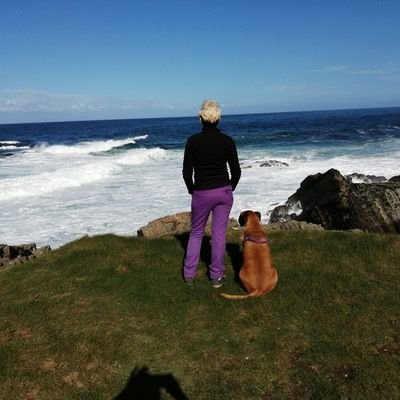 mariappp66's profile picture. 