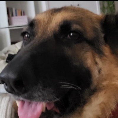 roig_car's profile picture. Abogado penalista. Profesor d E.Jurídica. Abuelito.