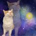 【CAT】neccy (@michael_cat_man) Twitter profile photo 【CAT】neccy (@michael_cat_man) Twitter profile photo