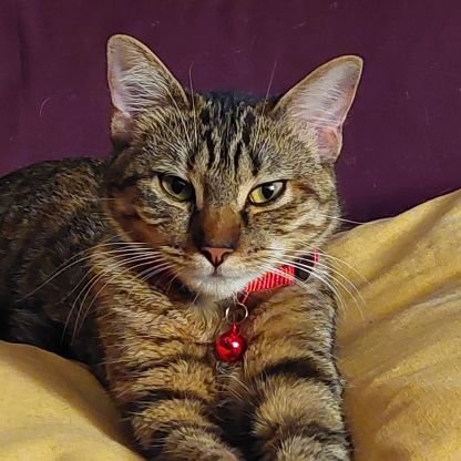 HONEY18243181's profile picture. 