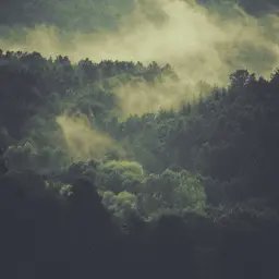 Aaaa