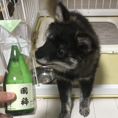 (通称)わたしの会 のご案内アカウントです(^_-)-☆ 運営は あぽろんまる。@IAPwofscMHq2Qbq ほたて @sin8788 ほか😊 会のご案内はこちら