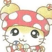 또기さんのプロフィール画像