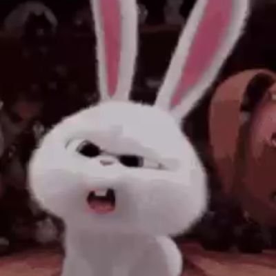 abooaena's profile picture. 