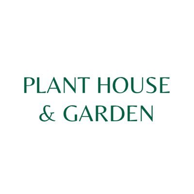 Plants & Terrariums 🍃 Visit my YouTube Channel 🤍