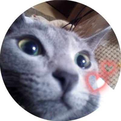 みずきさんのプロフィール画像