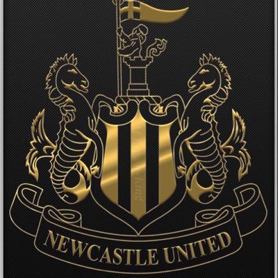 gallowgateSJP's profile picture. Geordie Aggro                    #bringbackthenoise to St James' Park. And reinstate the singing section. Established 2012