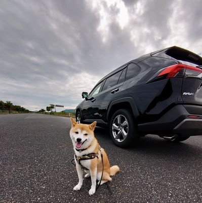 トヨタRAV4 でソロキャンプしています！
youtubeで【アウトドアで生きる俺】でたまに車関連の動画出しています。よかったら見てみてください！✨