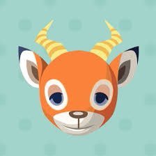 おりさんのプロフィール画像