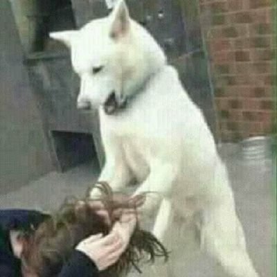 Rinlada11's profile picture. 😇