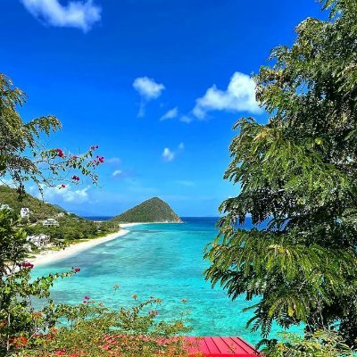 VT9091's profile picture. ...