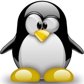 BrazilianFear's profile picture. 