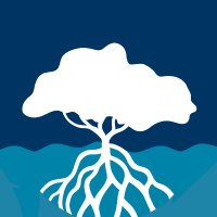 Women in Ocean Science (@womeninoceansci) 's Twitter Profile