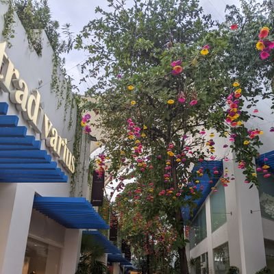 BeallLb's profile picture. golf, football 🏈, family, country, and ALWAYS God. 👑🇺🇸