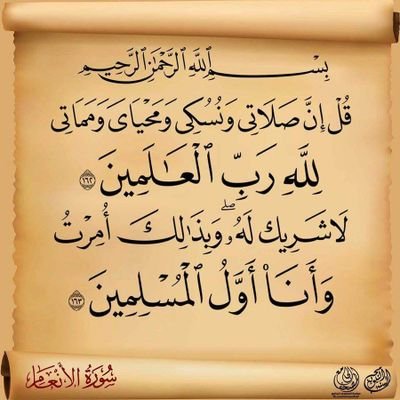 TalebiAer's profile picture. الأرواح جنود مجندة، ما تعارف منها ائتلف، وما تنافر منها اختلف