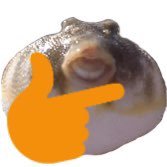 ABetterFollower's profile picture. I’m a better version of the following guy https://t.co/9gIk9pVhRr