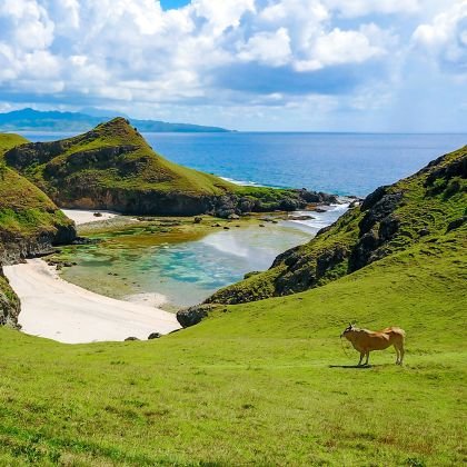 makulit1999's profile picture. Payt Sana Basta Kaya Pa

tyan man....

6'0/🔝