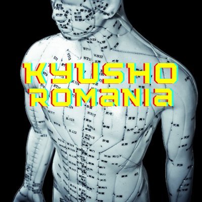 Kosho Ryu Enterprises S.L.R Romania