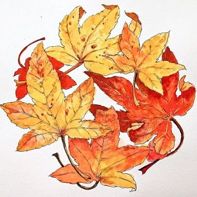 mgvF1WBdcYt7FYy's profile picture. 水彩とartとスクラッチアート