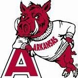larry_erwin's profile picture. Hog fan stuck in Texas. Part of the P1 Nation.
