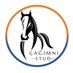 Rhythm Divine HARASI (@cagimniekurisi) Twitter profile photo Rhythm Divine HARASI (@cagimniekurisi) Twitter profile photo