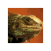 Jerry Stroud - @8fsantl - Twitter