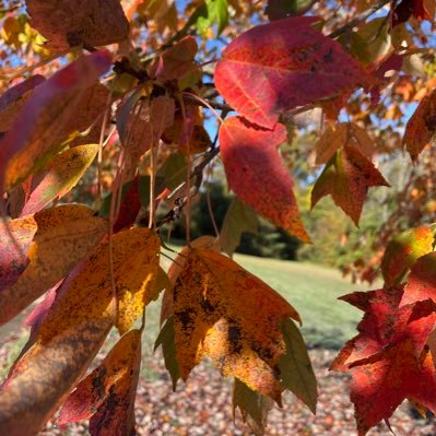 Lmfhairboutique's profile picture. enjoy each moment of life