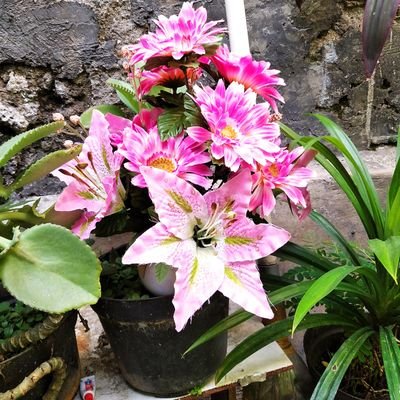 Fendi41676458's profile picture. 