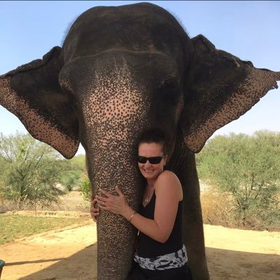 KarenHe97780656's profile picture. 