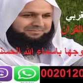 جلب (@mohamed31254566) Twitter profile photo