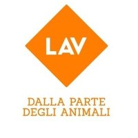LAV Trentino(@LavTrentino) 's Twitter Profile Photo