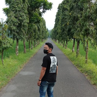 MAPproject3's profile picture. Sibuk